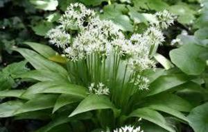 Sortie Initiation et Découverte du Mois