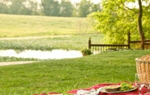 SORTIE CLUB Pique-nique