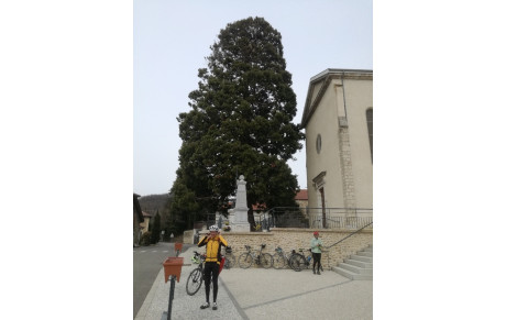 Séquoia Géant de Murinais, son histoire